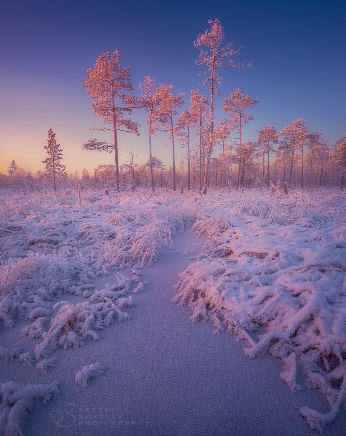 Мурманск природа