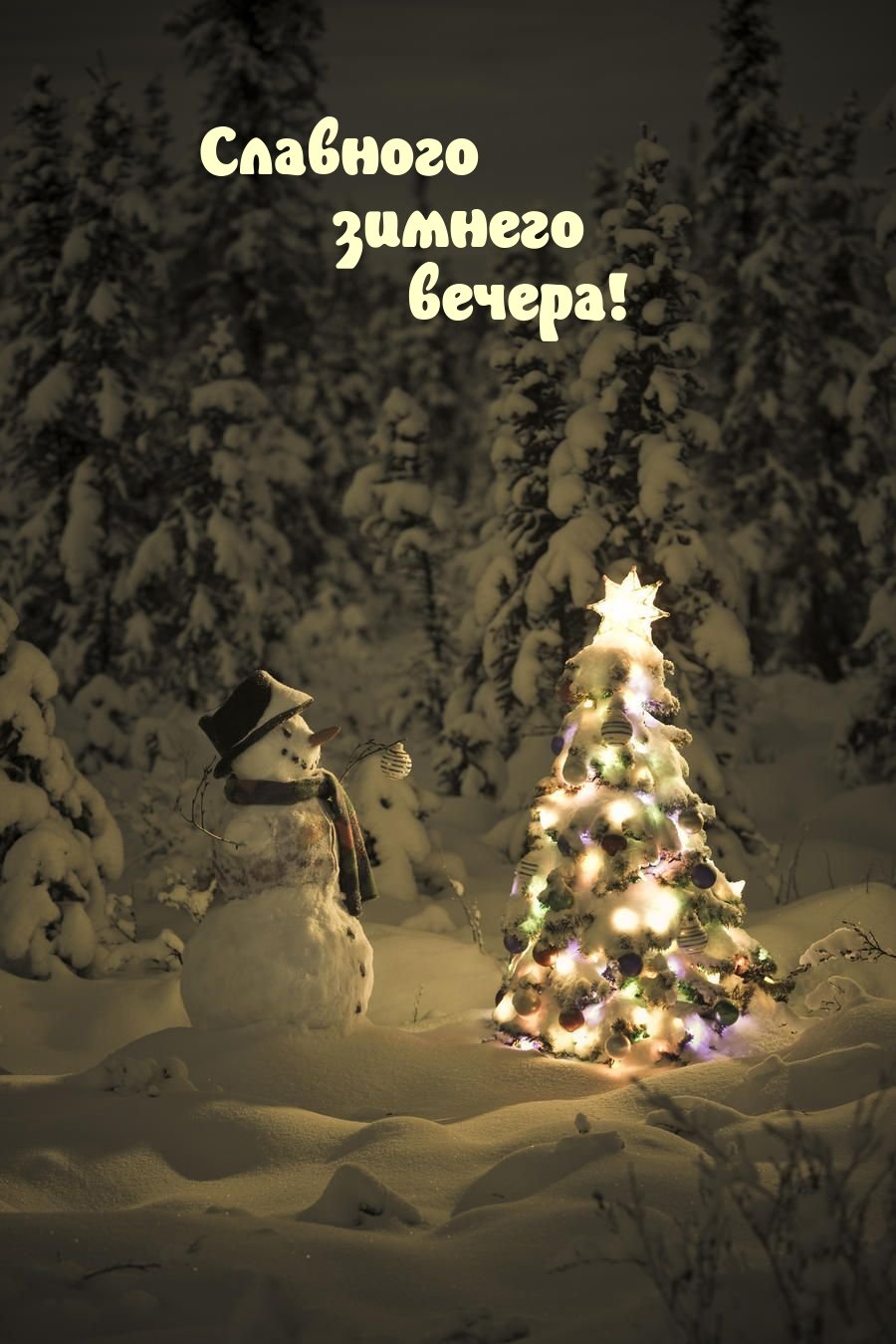 В новогоднем лесу
