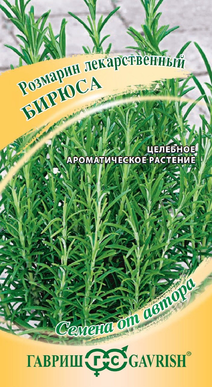 Гавриш розмарин Бирюса
