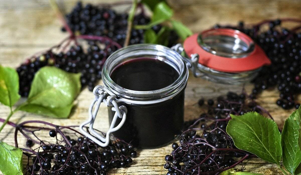 Сироп из бузины