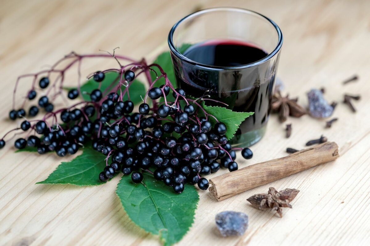 Elderberry черемуха
