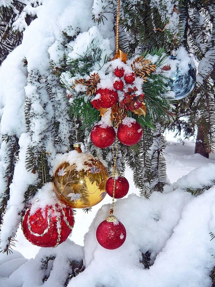 Зима новый год