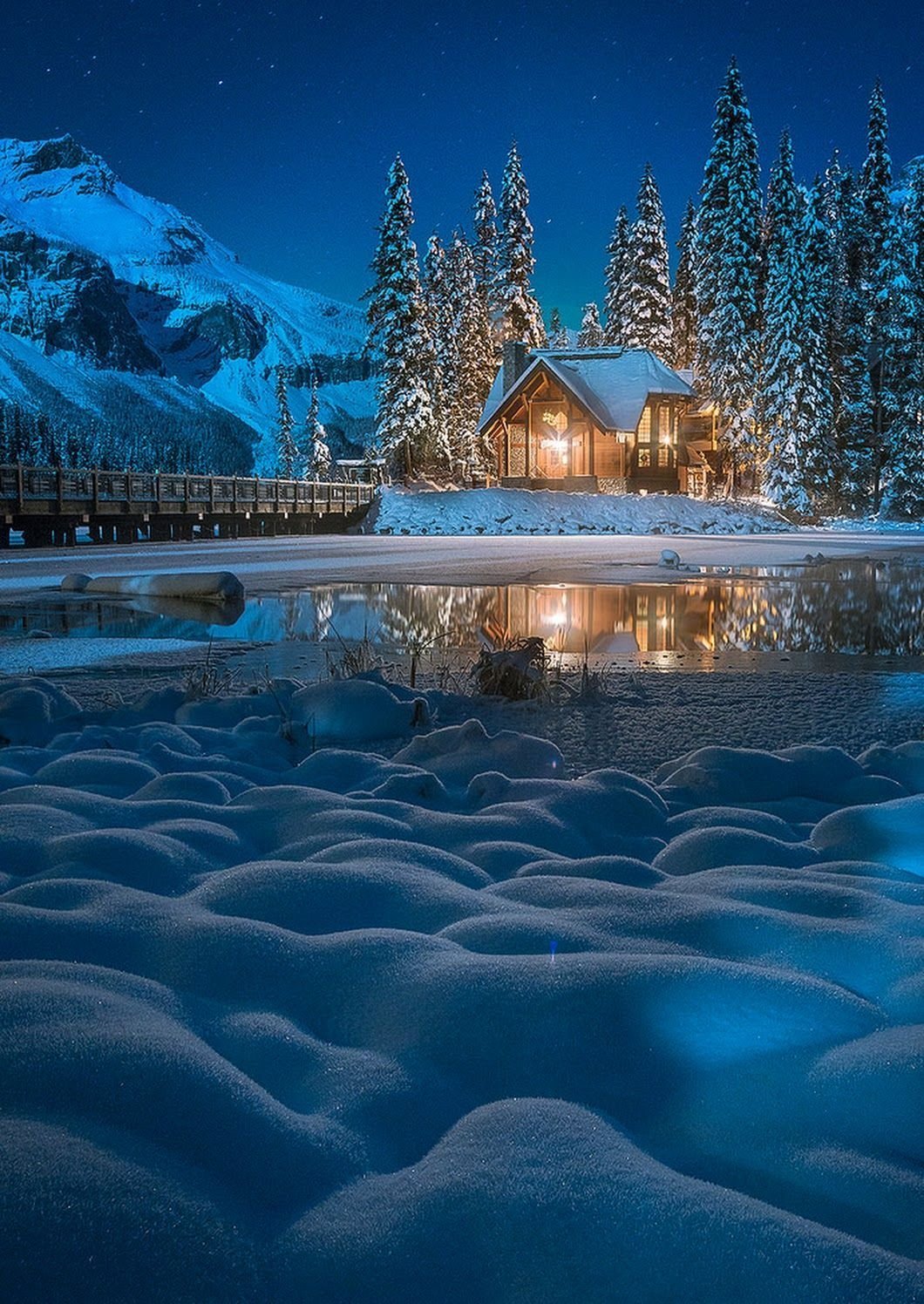 Новогодняя природа
