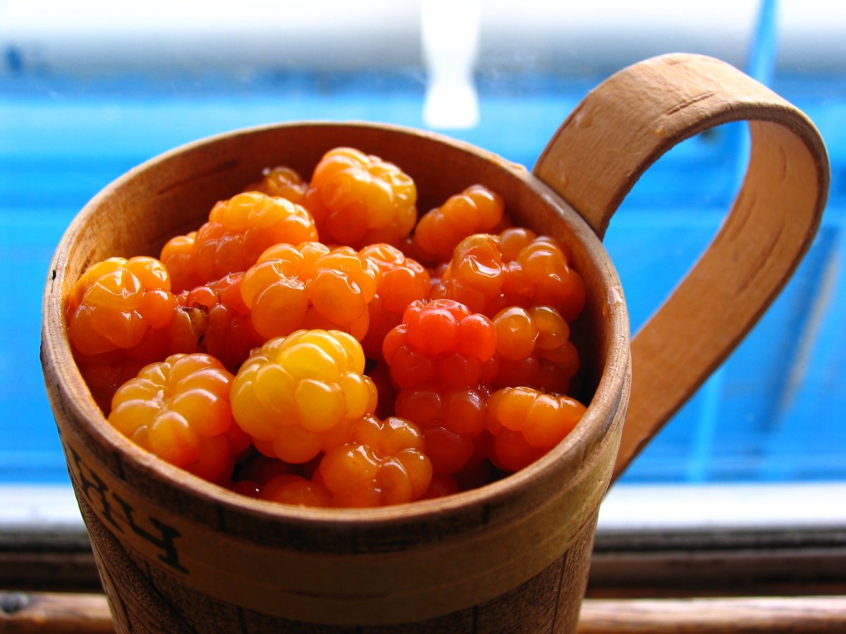 Моченая Морошка