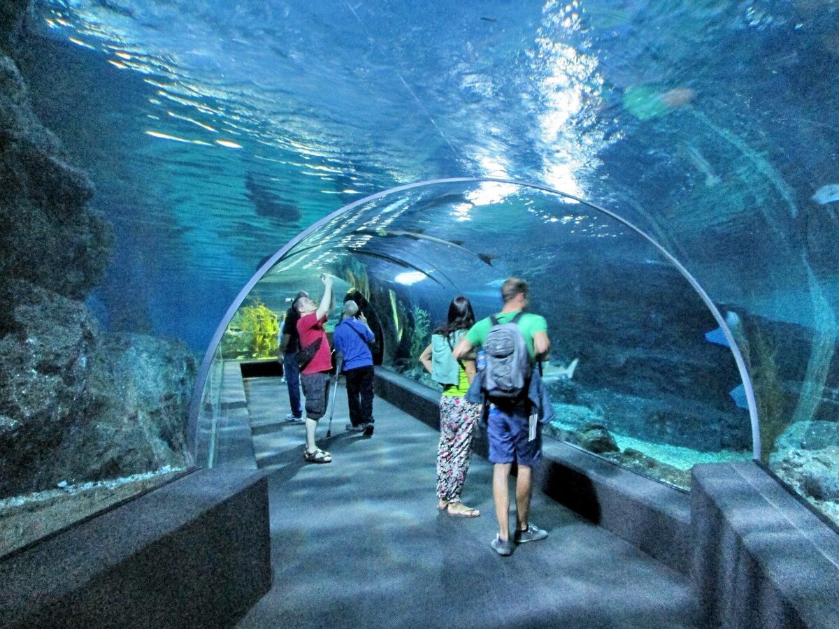 Аквариум Siam Ocean World в Бангкоке