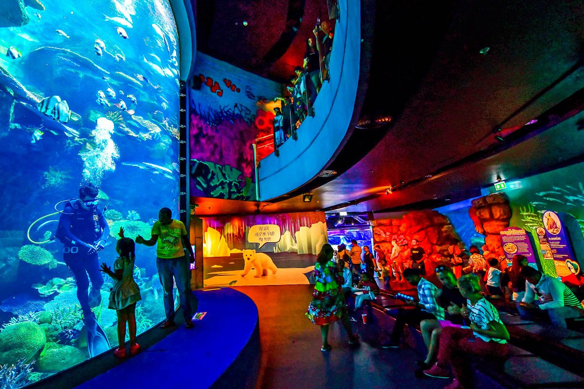 Аквариум Siam Ocean World