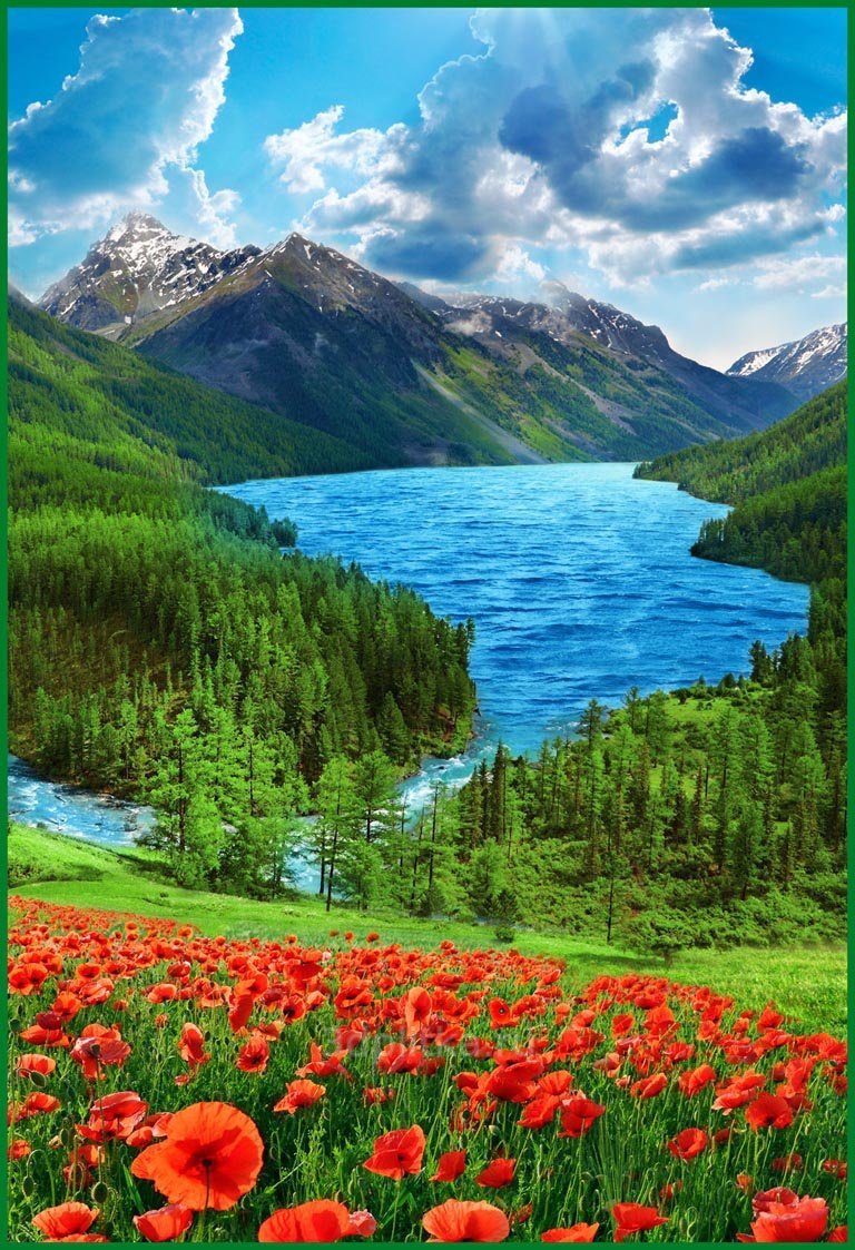 Красивая природа