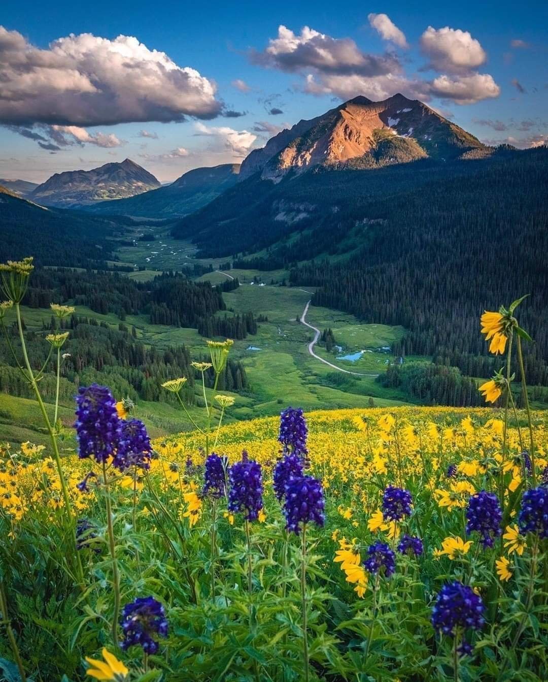 Красота природы
