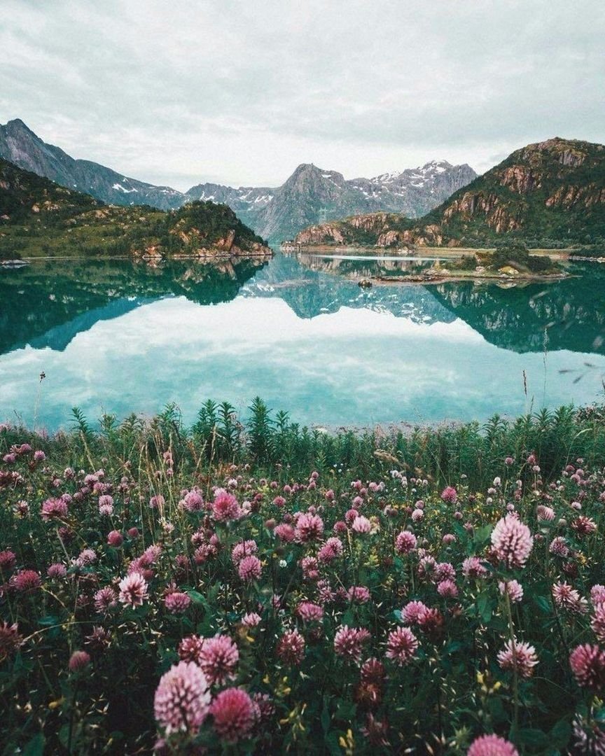 Лето природа озеро