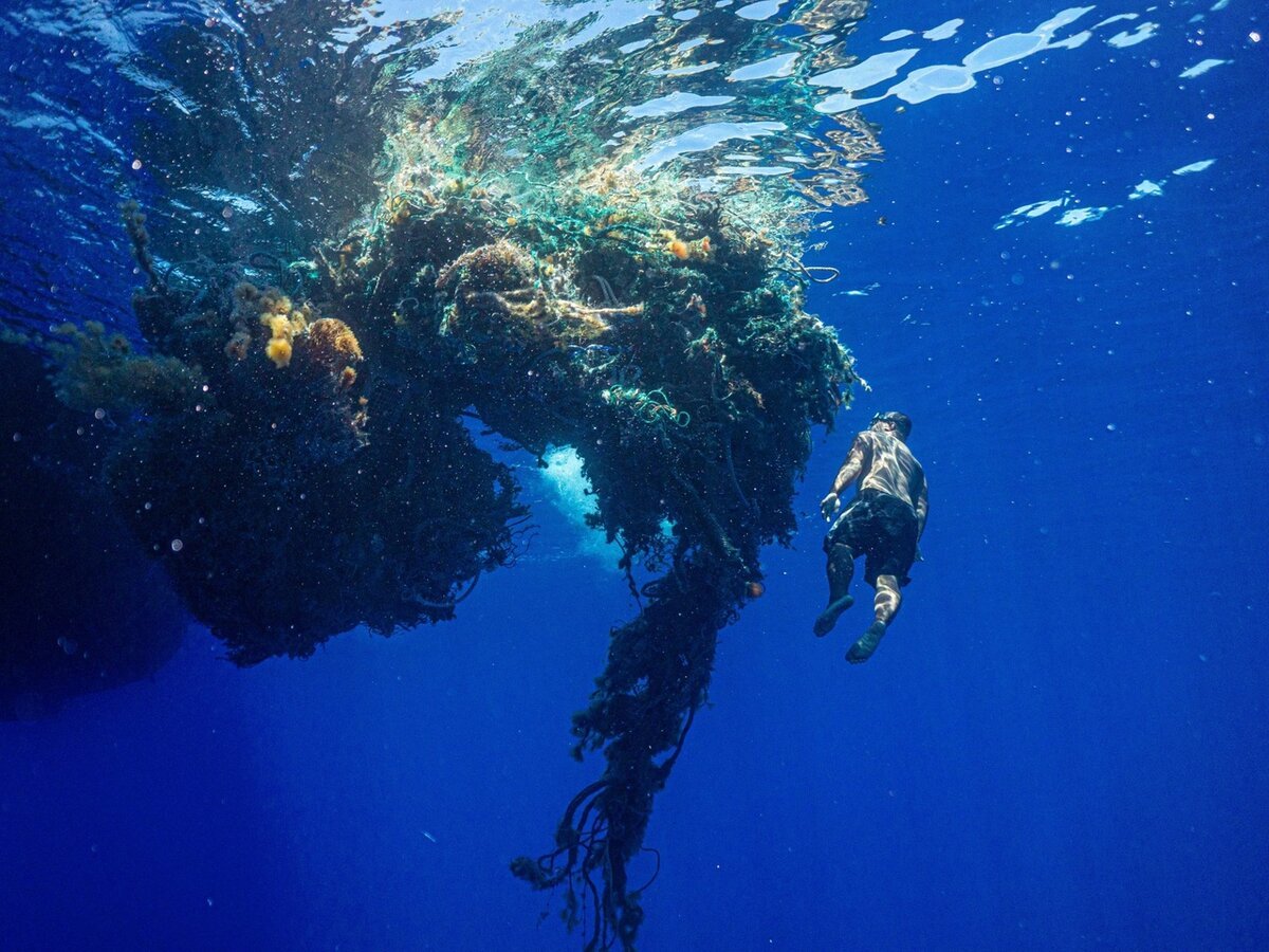 Саргассово море под водой