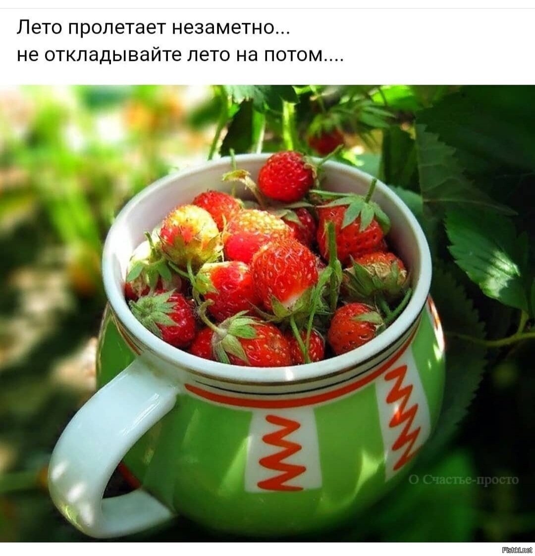 Клубника в чашке