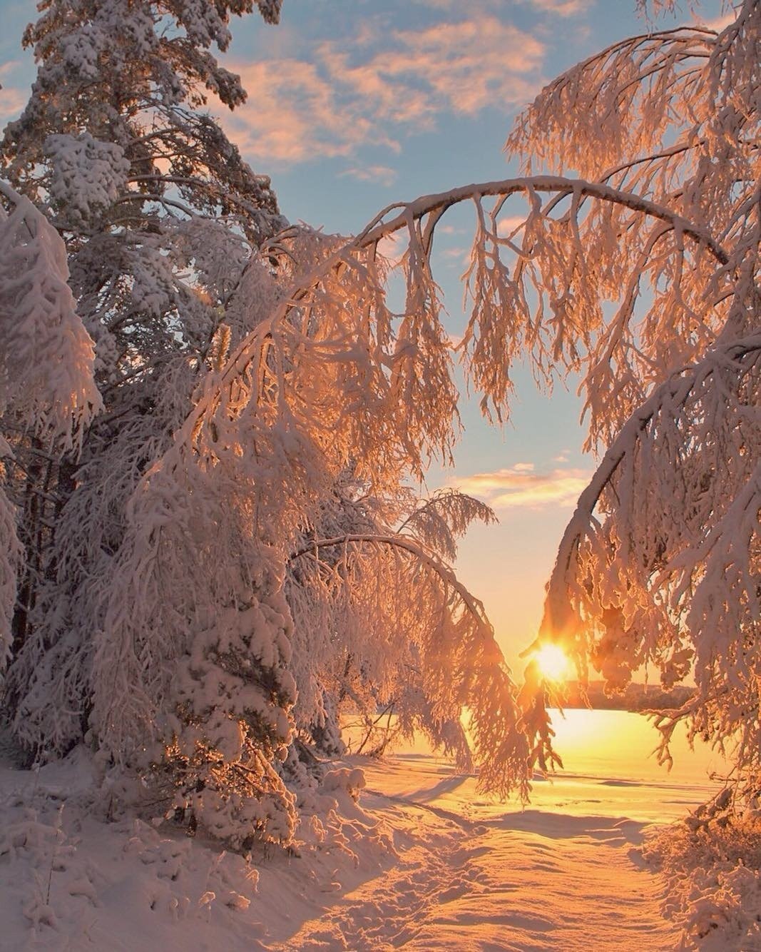 Красота зимы
