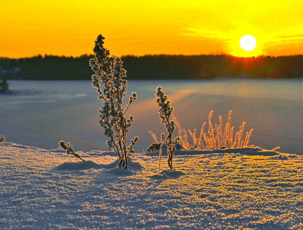 Морозное лето