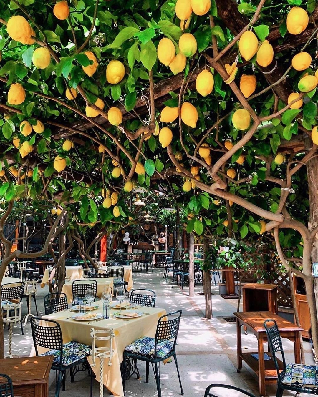 Da Paolino Lemon Trees ресторан