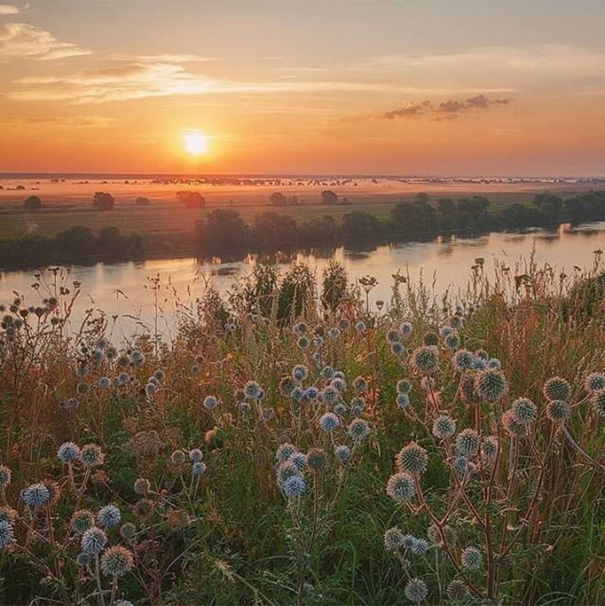 Природа средней полосы