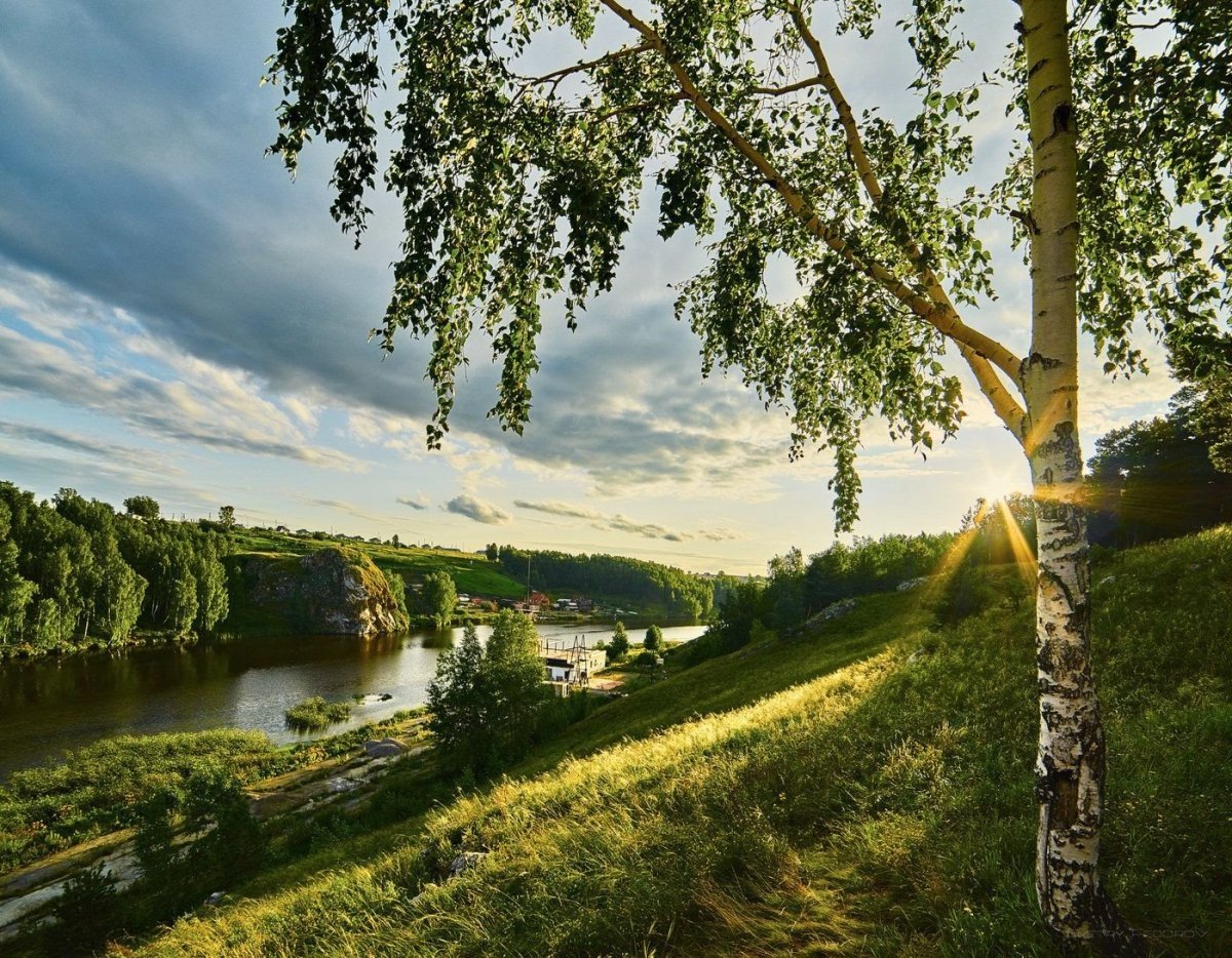 Природа средней полосы