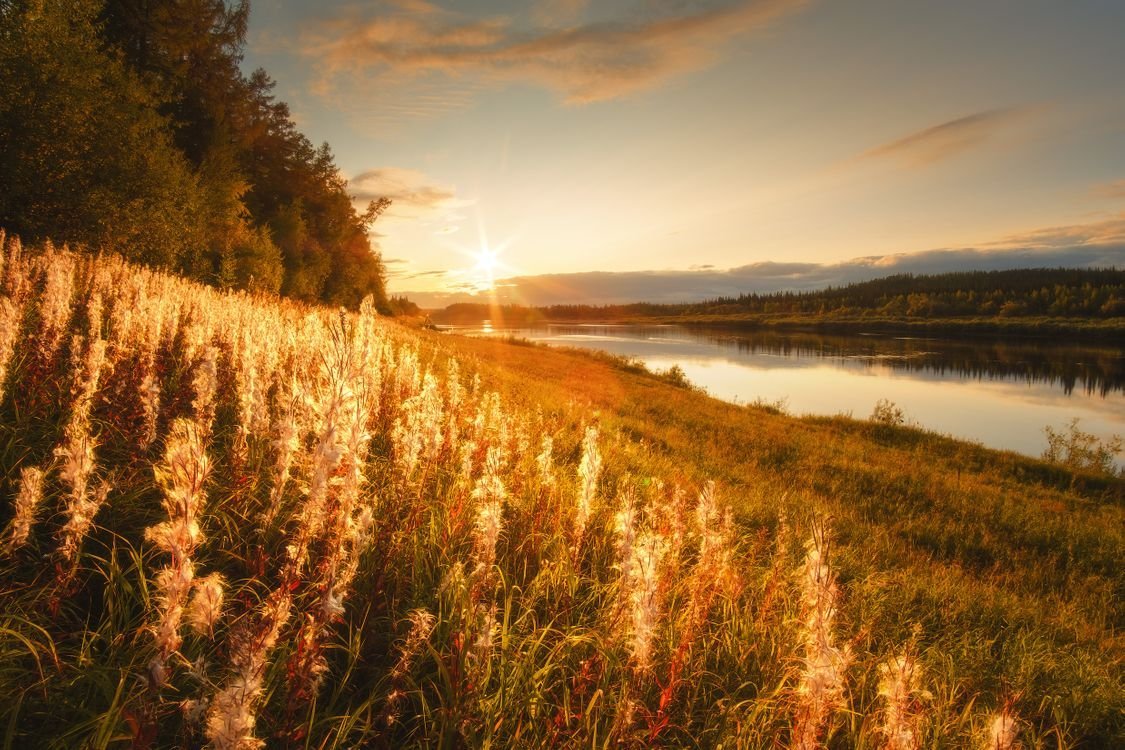 Русская природа