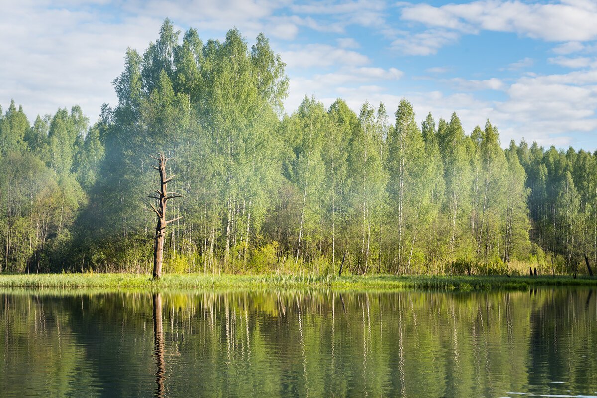 Сред полосе России