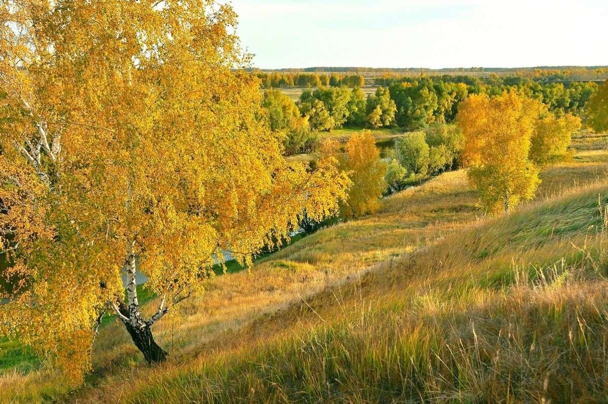 Омск Золотая осень