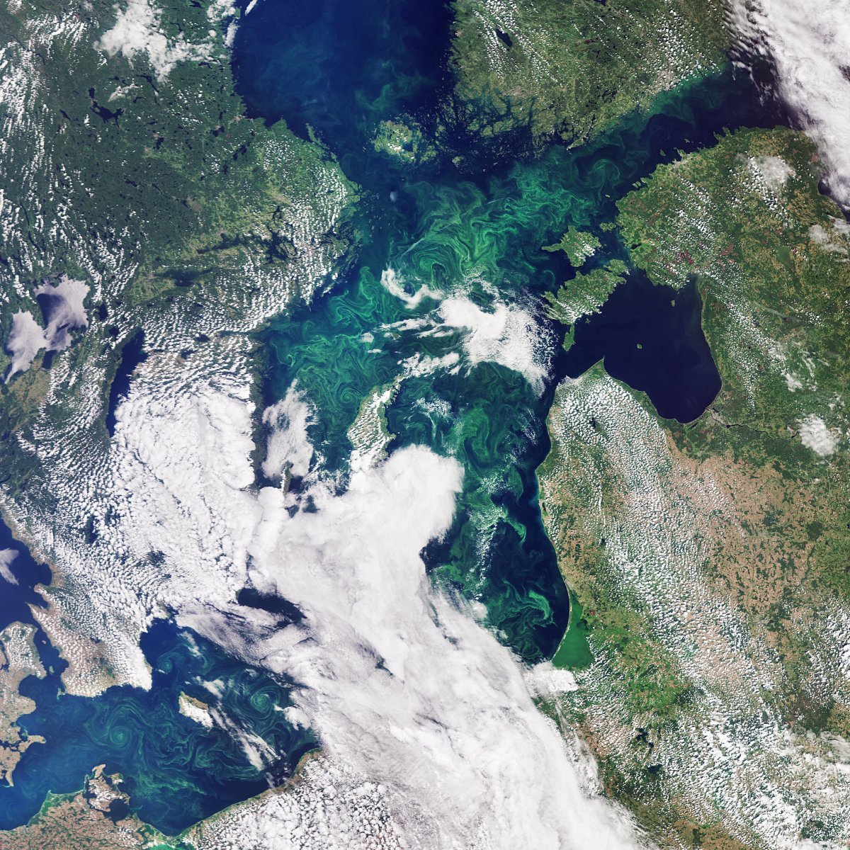 Саргассово море со спутника