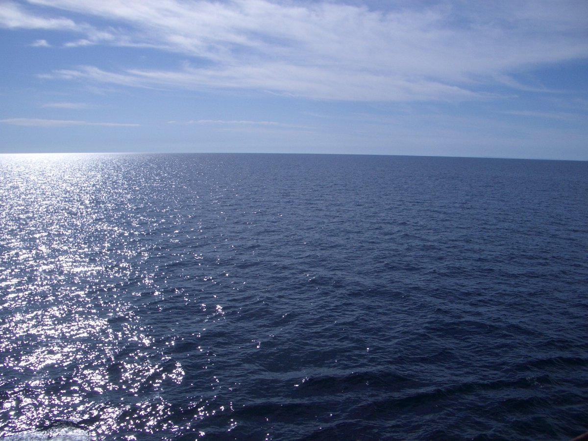 Черное море штиль