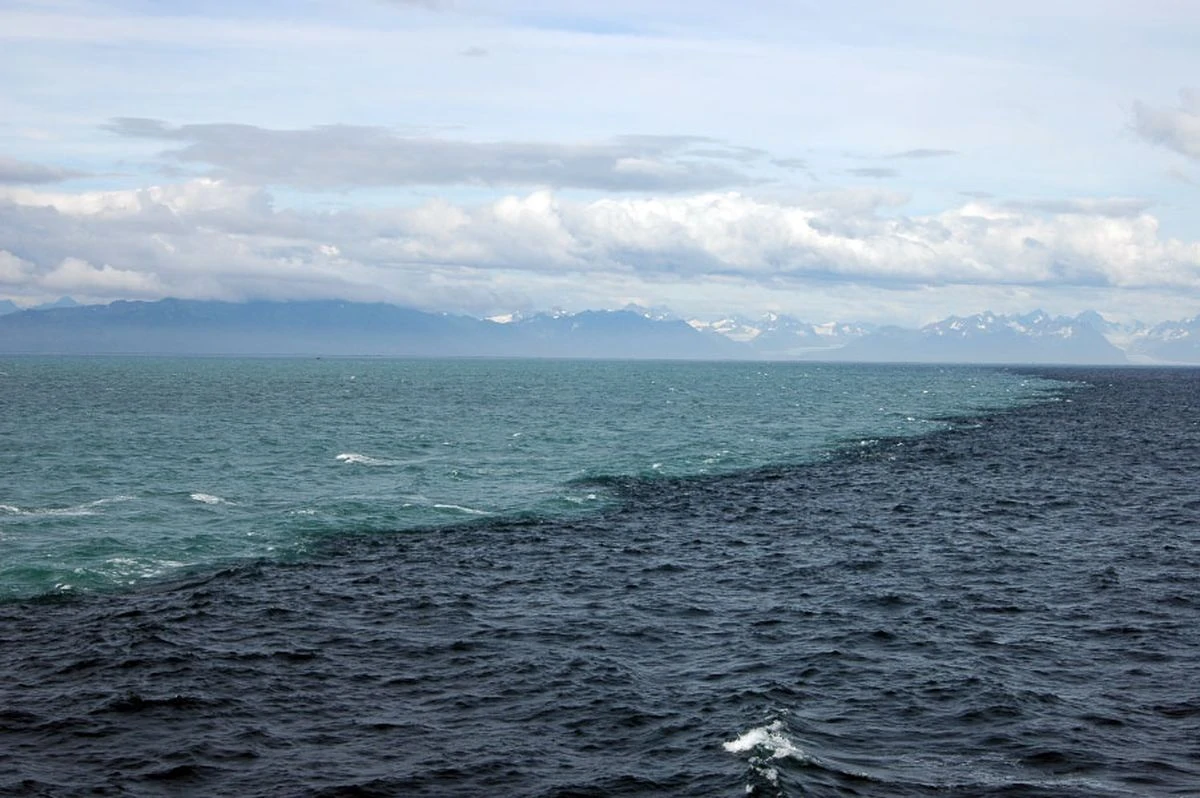 Галоклин Балтийское море