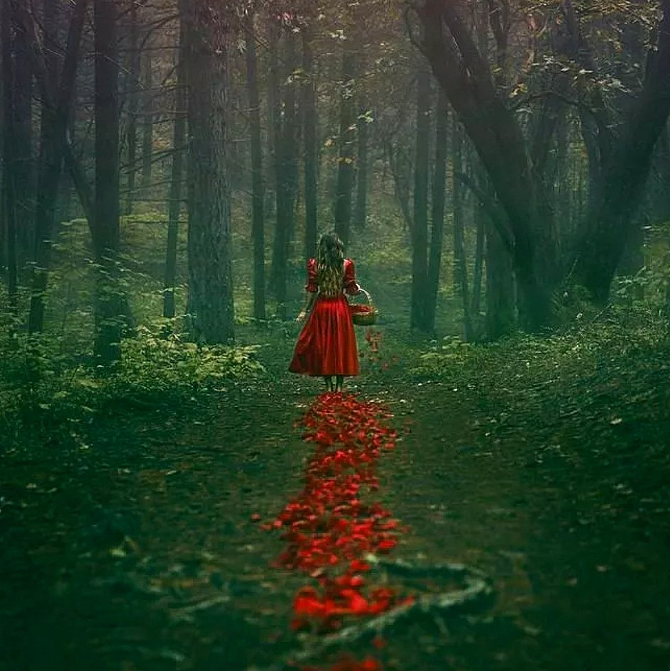Фотосессия в лесу