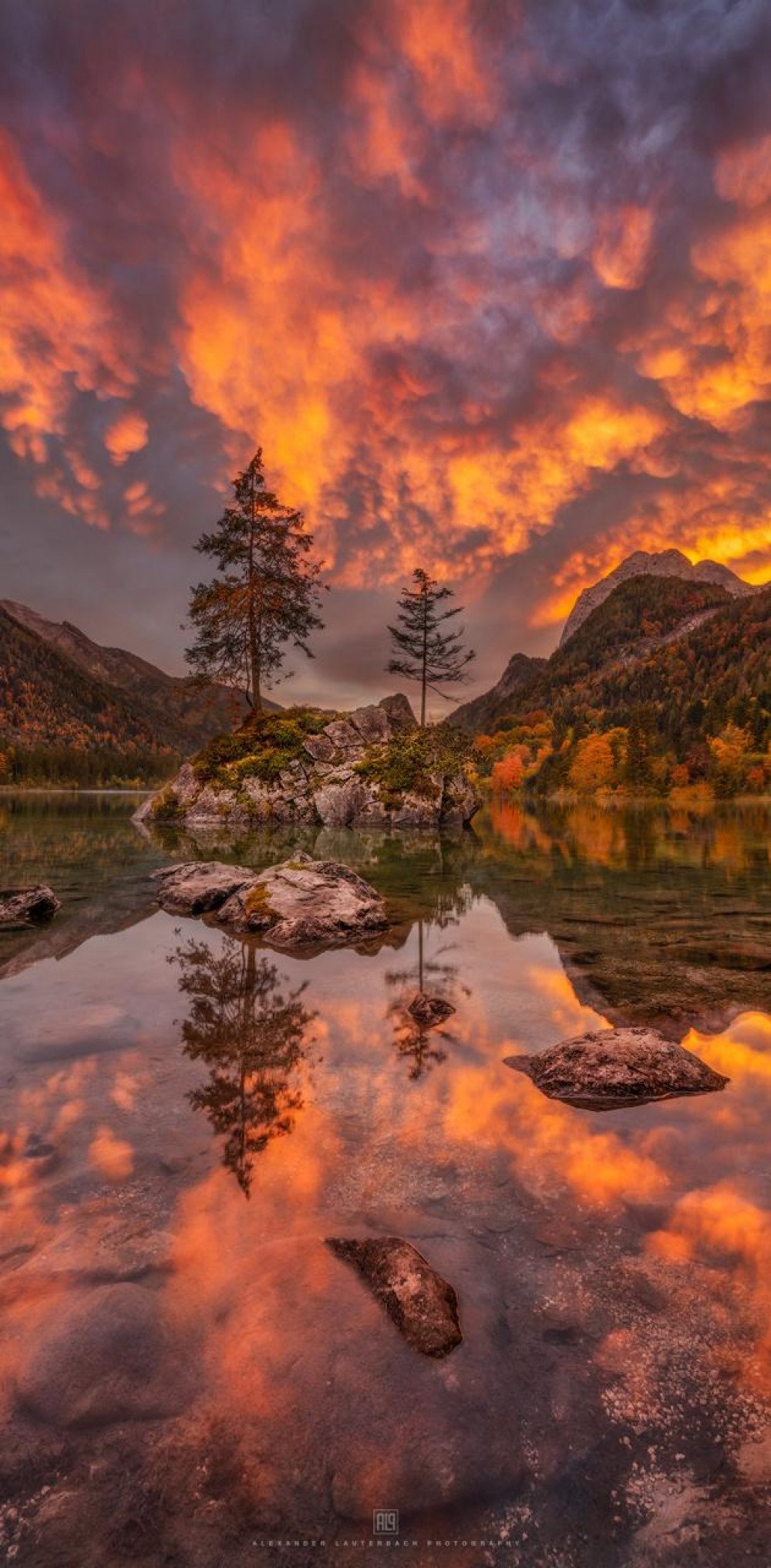 Reflections pictures