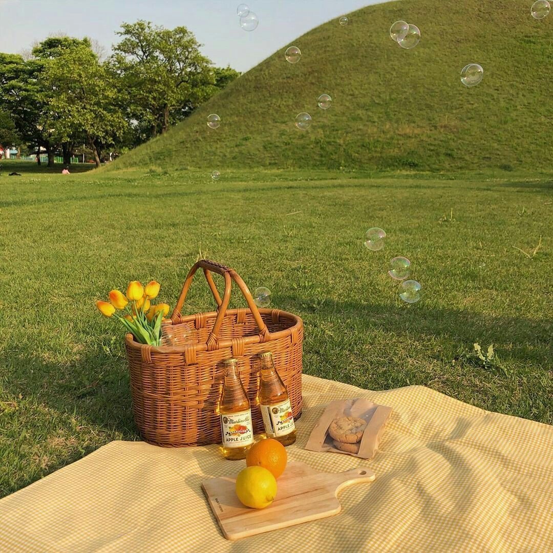 Cottagecore Aesthetics пикник