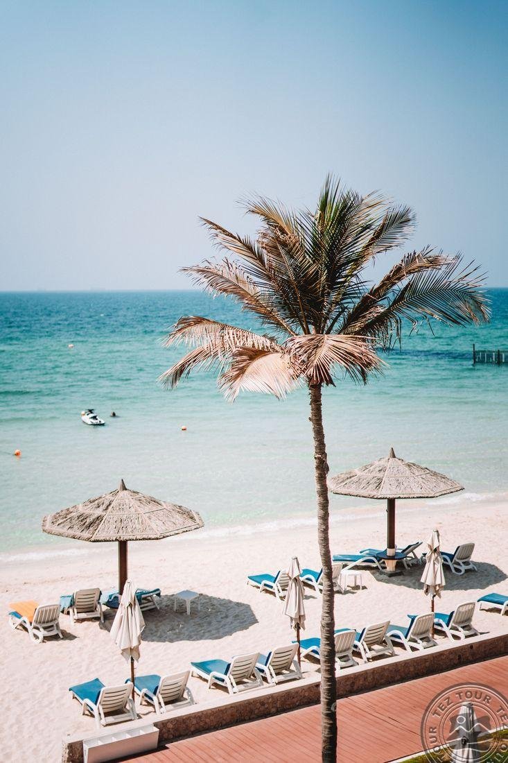 Отель Occidental Sharjah Grand 4