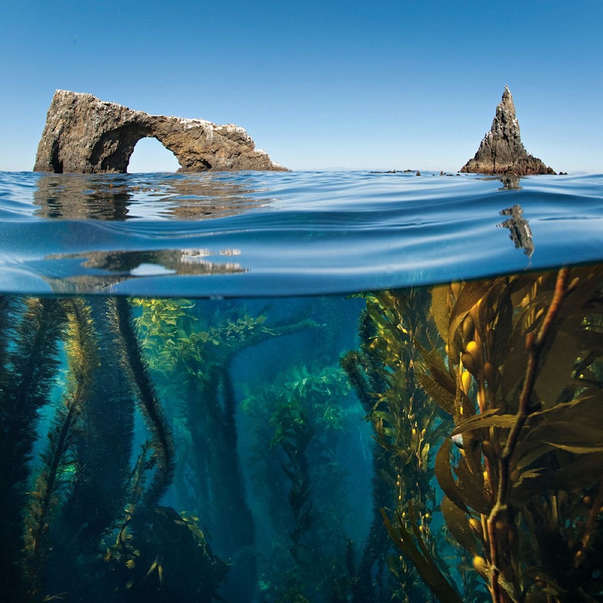 Необычные морские пейзажи