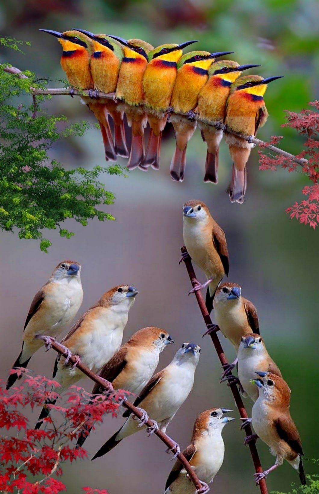 Природа птицы