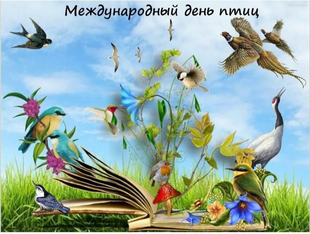 Мир природы птицы