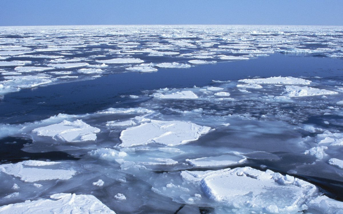 Море Лаптевых