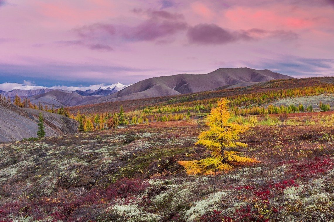 Усть-Янский улус природа