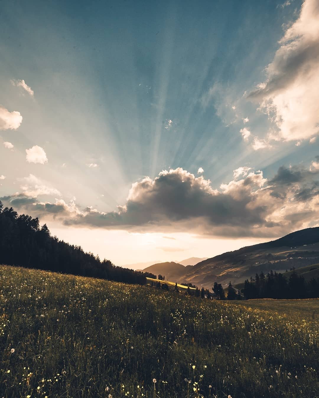 Фотографический пейзаж
