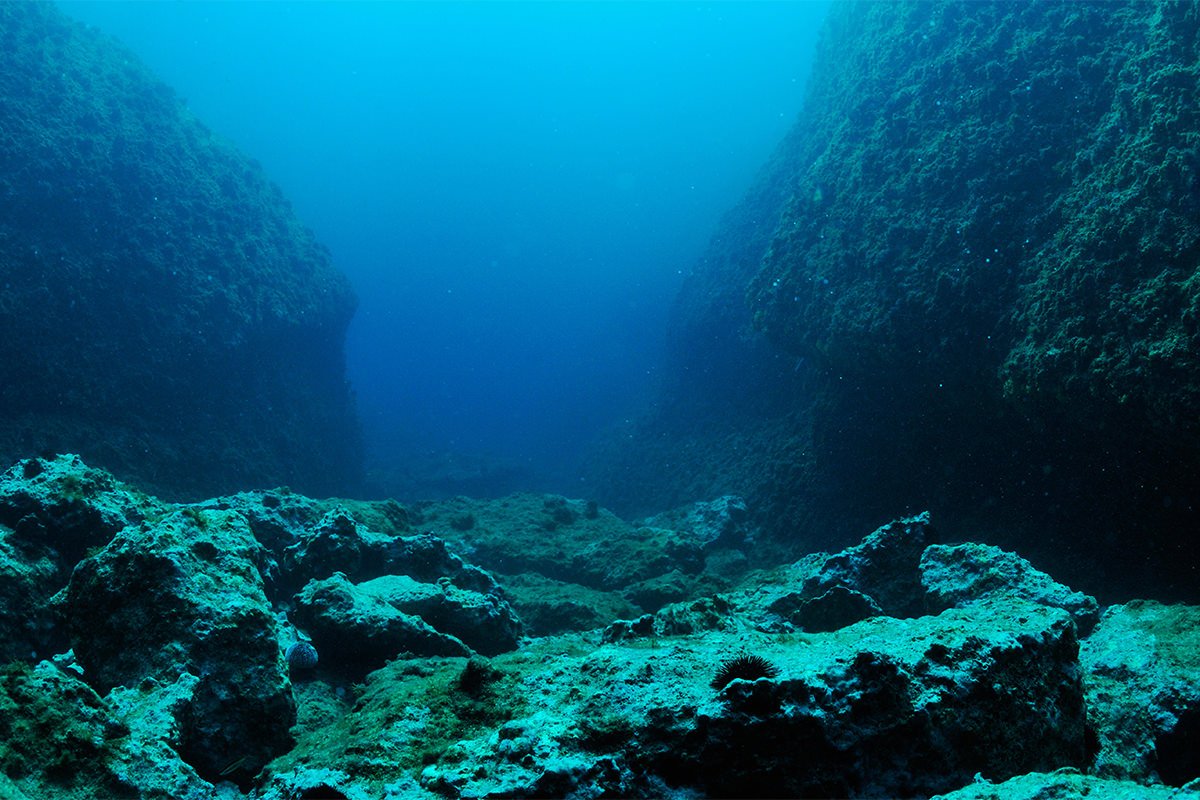 Дно моря