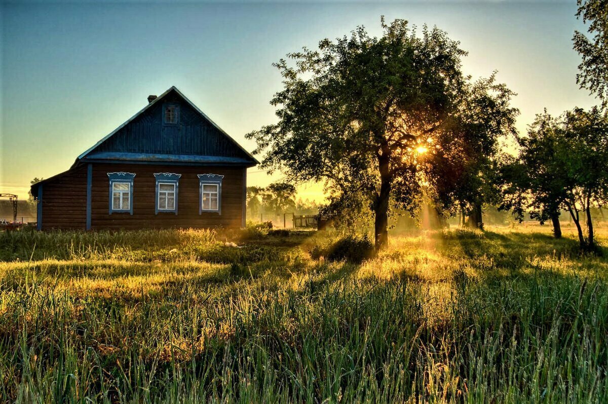 Лето в деревне