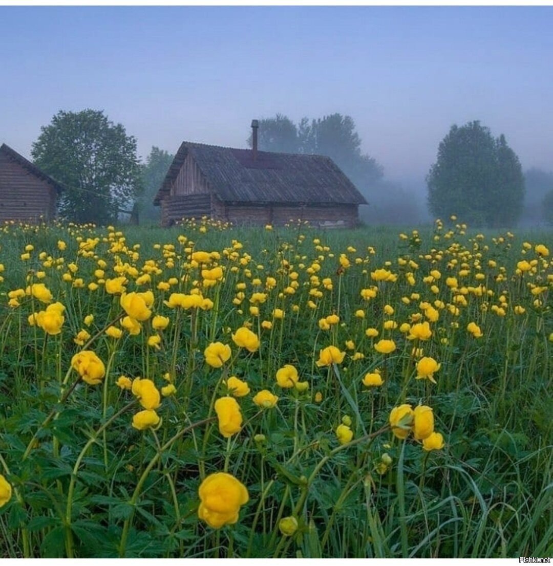 Деревенская красота