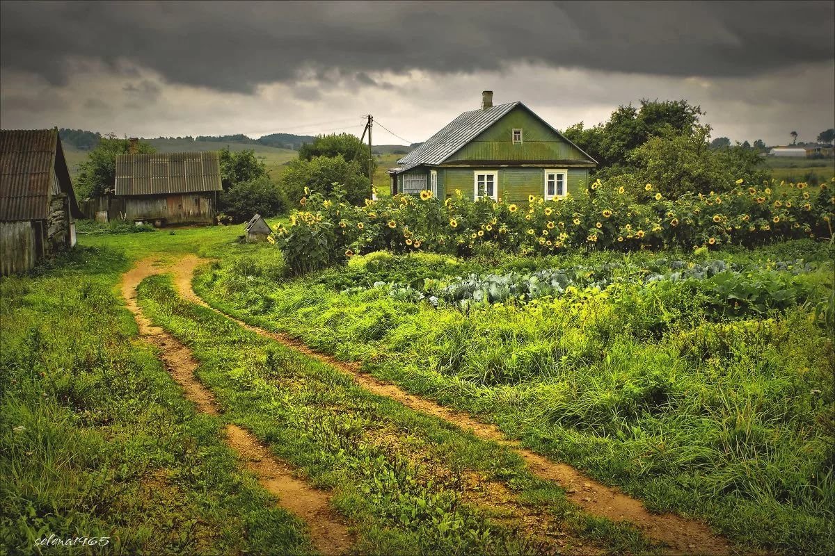Экимань деревня