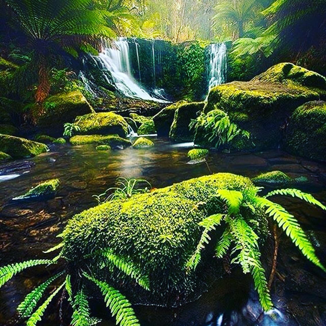 Natures answer