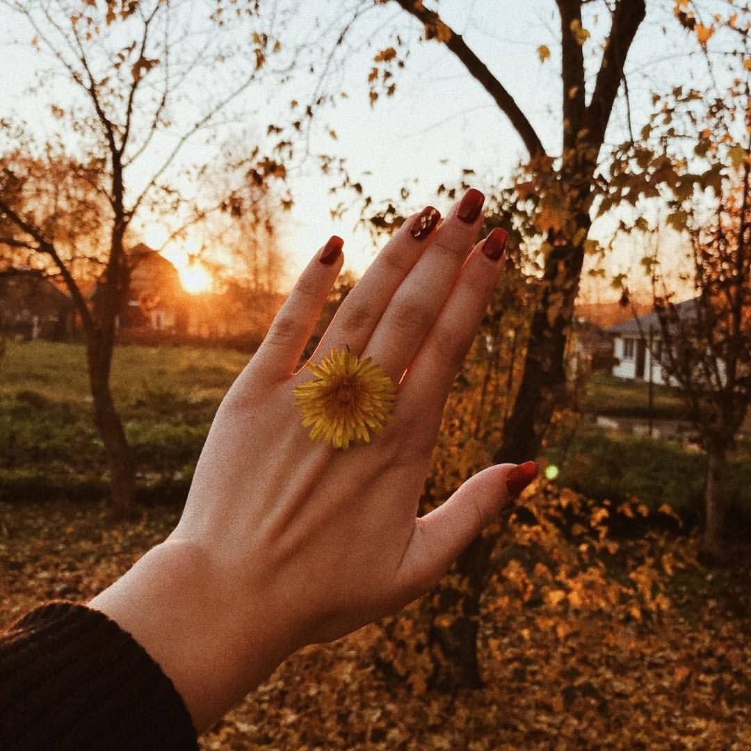 Солнечная осень на ладони