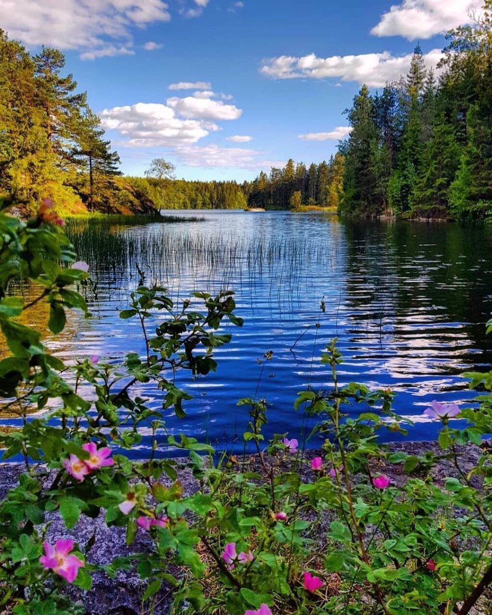 Лето река