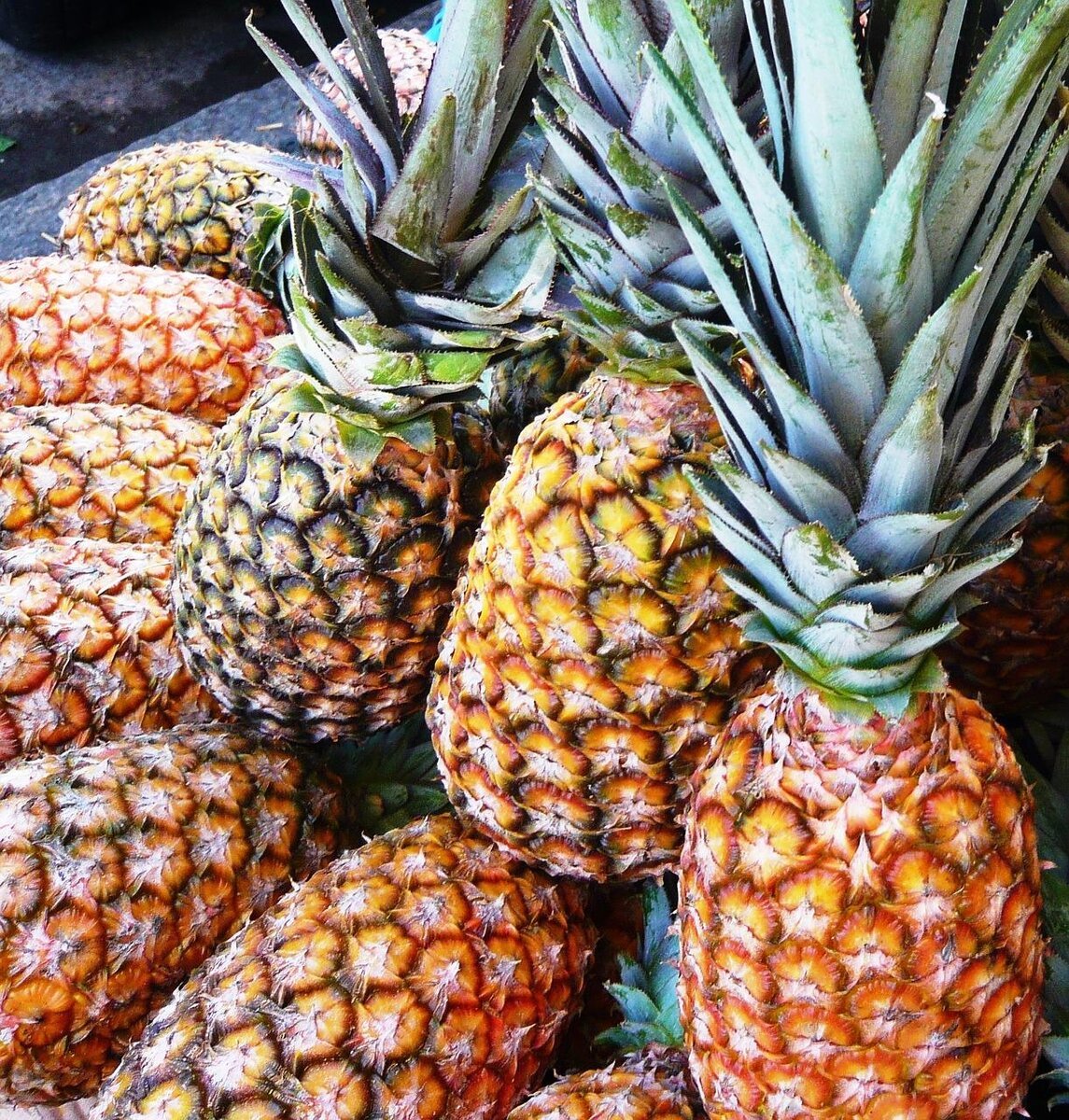 Ананас (ananas)
