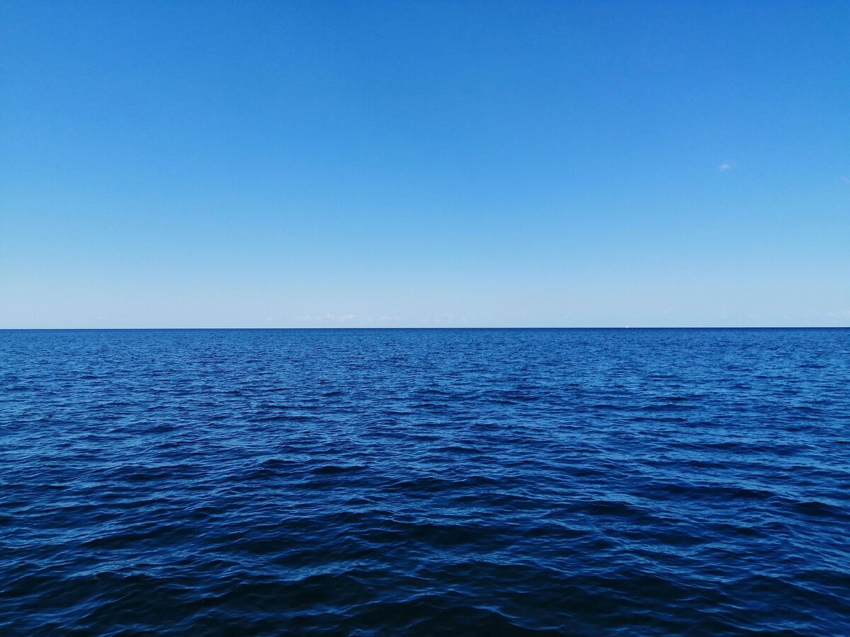 Линия горизонта море и акулы