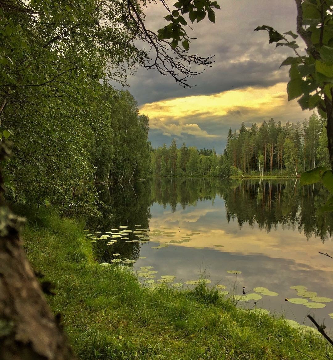 Красота природы