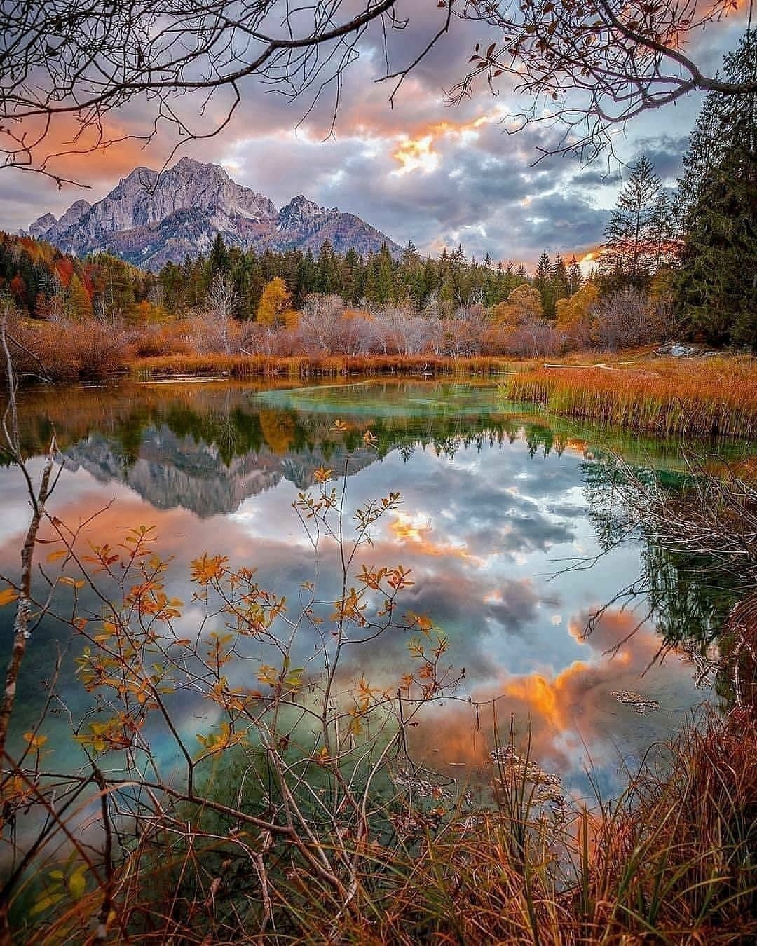 Натура природа
