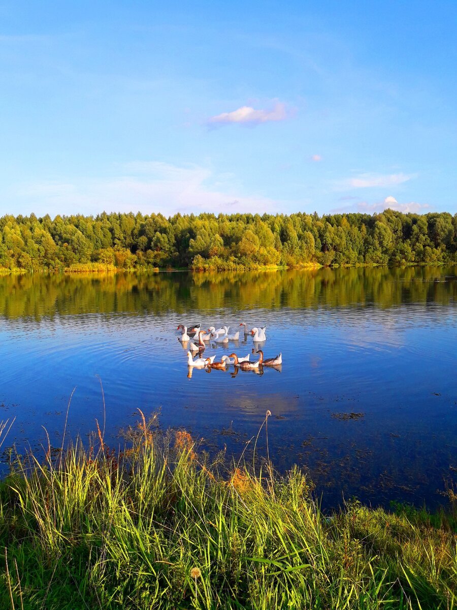 Озеро Юрдурское Марий Эл