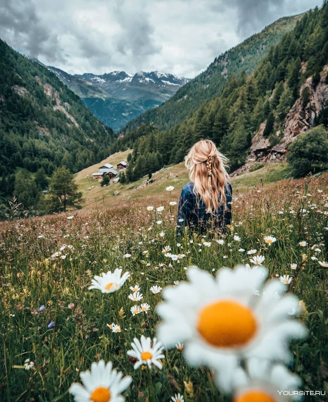 Красивые летние обои природа