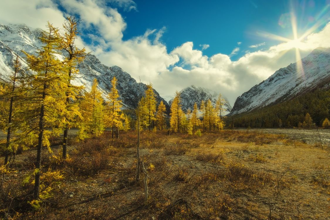 Altay Sun горный Алтай